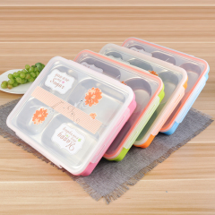 Stainless Steel Serving food Tray with Plastic Cover and 5 Compartments