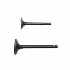 Gasoline generator accessories 177 188 190 192 190F EY20 EY15 inlet and exhaust valves