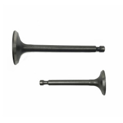 Gasoline generator accessories 177 188 190 192 190F EY20 EY15 inlet and exhaust valves