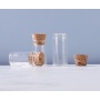 Wholesale Hot Selling 3ml 5ml 10ml Mini Glass Bottle with Cork Stopper Small Vial Glass Bottles