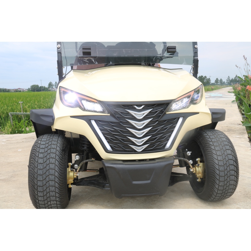 Wholesale Top Quality 48v Electric Push Golf Cart Durable 6 Passenger Golf Cart