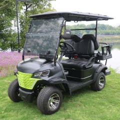Custom Motorized LithIum Golf Carts Battery 48v Golf Cart 4 Wheel Drive Electric Golf Cart