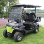 Custom Motorized LithIum Golf Carts Battery 48v Golf Cart 4 Wheel Drive Electric Golf Cart