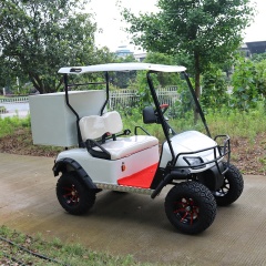 Prix ​​d'usine 2 personnes hors route 4 roues motrices Mini chariot de golf électrique avec boîte de rangement