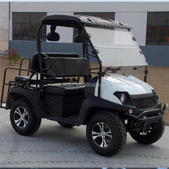 Good Quality 4 Seater Gasoline Golf Cart With Rear Back Seats