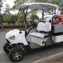 Off Road 4 Wheel Drive Street Legal 2 Person Electric Mini Golf Cart With Cargo