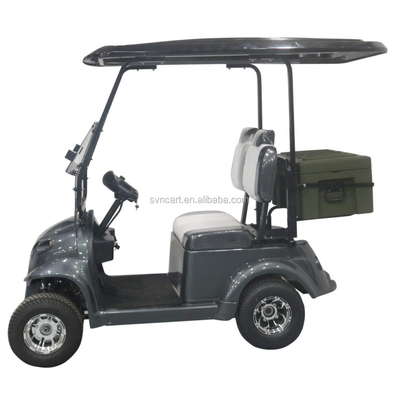 Nouveau modèle de voiturette de golf 2 places bon marché et de haute qualité
