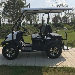 Custom Powerful 4 Seater Electric UTV Golf Cart For Sale