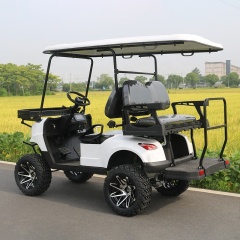New Design Utility Off Road 5KW 48V Electric Golf Carts 4 Seater For Hotel Travel
