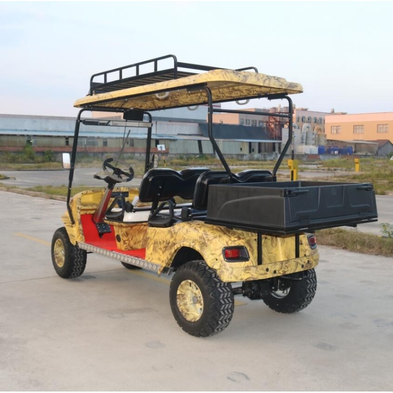 Voiturette de golf 4 places/voiturette de golf touristique avec support de toit à vendre