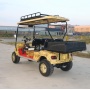 Voiturette de golf 4 places/voiturette de golf touristique avec support de toit à vendre