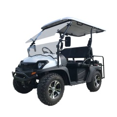 Carro de golf de gasolina todoterreno de calidad para 4 pasajeros