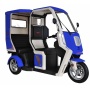 custom 2200W mini mobility scootergolf cart