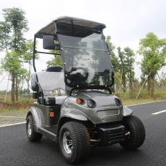 Custom Four Wheel Golf Cart 1 Seat With Lithium Battery