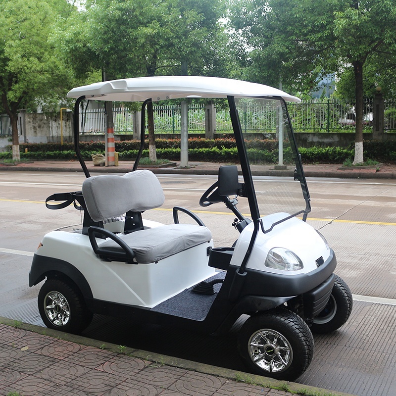 Hot Sale Farm Durable 5KW 48V alimenté par batterie 2 places petit chariot de golf