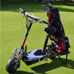 Portable Foldable Electric Scooter with Golf Bag Holder