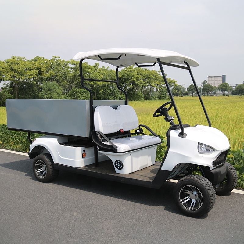Professional Manufacturer High Performance Motorized 2 Seats Cart Golf With Cargo Truck