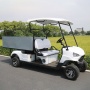 Professional Manufacturer High Performance Motorized 2 Seats Cart Golf With Cargo Truck