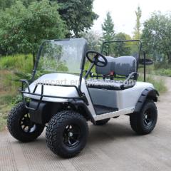 Buggy de golf électrique 2 places sans toit et kits d'éclairage