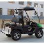 4-местный бензиновый UTV Golf Cart, шины для автомобилей