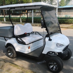 New Design Off Road Sightseeing 2 Person Electric Mini Golf Cart With Folding Clear Windshield