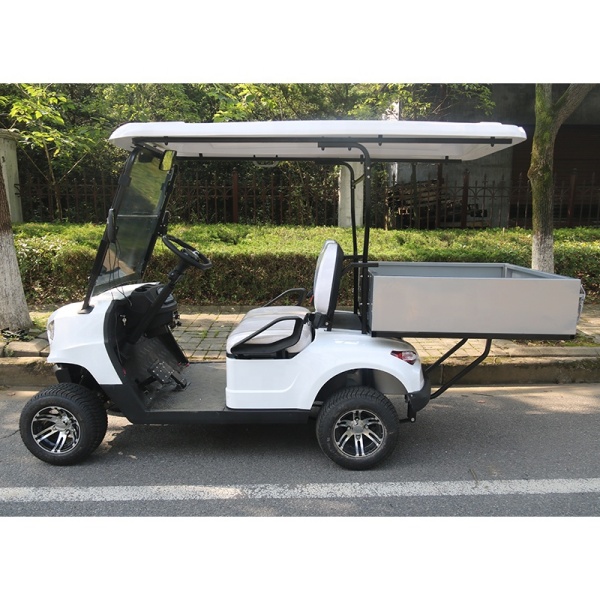 Nouvelle conception Off Road Sightseeing Mini chariot de golf électrique pour 2 personnes avec pare-brise transparent pliant