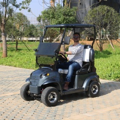Customized 36V 1800W DC Motor Single Seater Mini Golf Cart