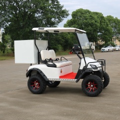 Hot sale 4 wheel 2 seater electric cargo golf cart for Farm