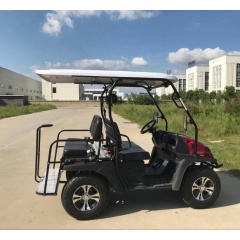 Carrito de golf de gasolina de 4 asientos de calidad con soportes para bolsas de golf