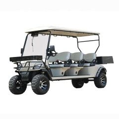 Chariots de golf 4 places hors route, 6 roues motrices, avec boîte arrière, offre spéciale