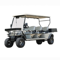 Hot Sale Off Road 4 Wheel Drive Street Legal 6 Seater Golf Carts With Rear Box