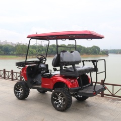 Custom Hotel Club Off-road Sightseeing 4 Passengers Electric Car Golf Cart