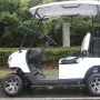 High Quality Lithium Battery Powered 4 Wheel Drive 2 Passenger Mini Golf Carts Electric