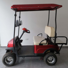 Hot Sale Light Weight 2200W Electric Scooter Golf Cart With Rear Flip Seats