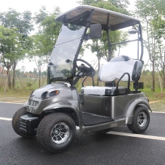 New Design Single Seat 4 Wheels Small Golf Cart With Roof And Windshield