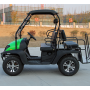 4-местный бензиновый UTV Golf Cart, шины для автомобилей
