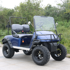 Customised Roofless Offroad Mini 2 Seater Electric Golf Cart