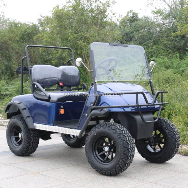 Mini chariot de golf électrique 2 places Offroad sans toit personnalisé