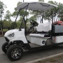 Off Road 4 Wheel Drive Street Legal 2 Person Electric Mini Golf Cart With Cargo