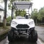 High Quality Lithium Battery Powered 4 Wheel Drive 2 Passenger Mini Golf Carts Electric