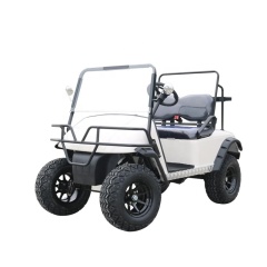 Buggy de golf électrique 2 places sans toit et kits d'éclairage