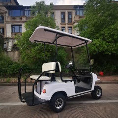 Prix ​​bon marché 2 passagers 4 roues motrices Mini chariot de golf électrique de la Chine