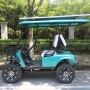 2022 new 4 seats electric off-road golf cart with solar panel