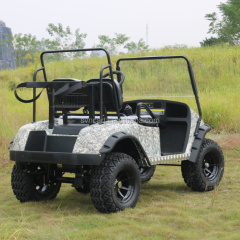 Mini chariot de golf électrique 2 places Offroad sans toit personnalisé
