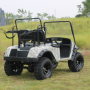 Customised Roofless Offroad Mini 2 Seater Electric Golf Cart