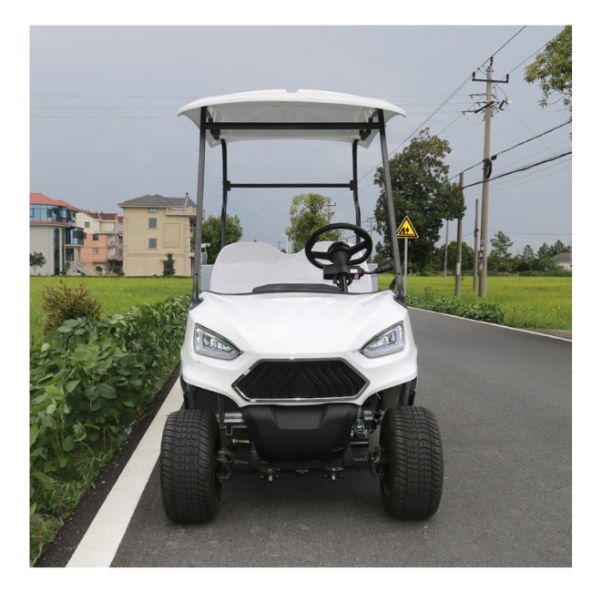 Hot Sale 2 Seat Battery Powered Electric Golf Cart Off Road With Cargo Box