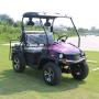 4 Passenger UTV Golf Cart, Gasoline and Electric Models