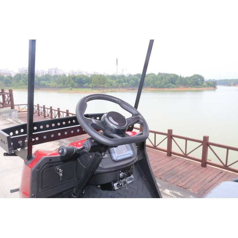 New Design  4 Passengers Off-road Tourist Electric Golf Cart with folded back seat