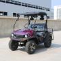 4 Passenger UTV Golf Cart, Gasoline and Electric Models
