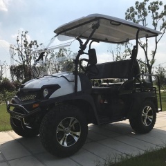 High performance custom 4 seater electric golf cart
